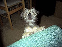 DSC0002.jpg