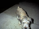 DSC0003.jpg
