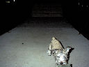 DSC0004.jpg