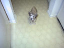 DSC0006.jpg