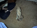 DSC0011.jpg