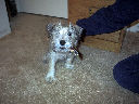 DSC0021.jpg