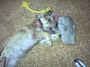 DSC0030.jpg