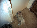 DSC0033.jpg