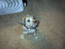 DSC0035.jpg