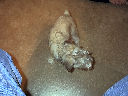 DSC0040.jpg