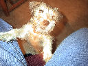 DSC0041.jpg
