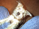 DSC0045.jpg